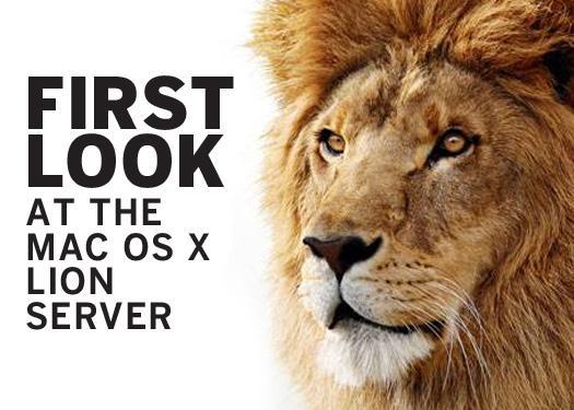 download kindle for mac lion